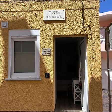 Casas Dona Emilia Apartment Vieira de Leiria Ngoại thất bức ảnh